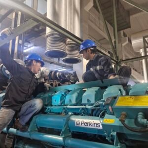 Maintenance Genset